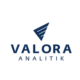 Logo Valora Analitik
